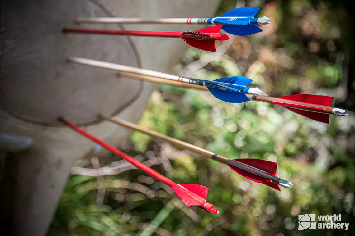 Arrows on target at Terni 2022 World Archery 3D Championships.