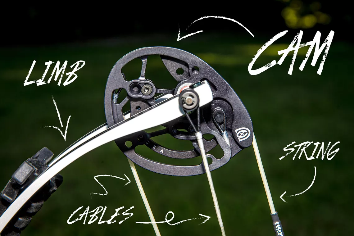 Annotated picture of a compound cam.