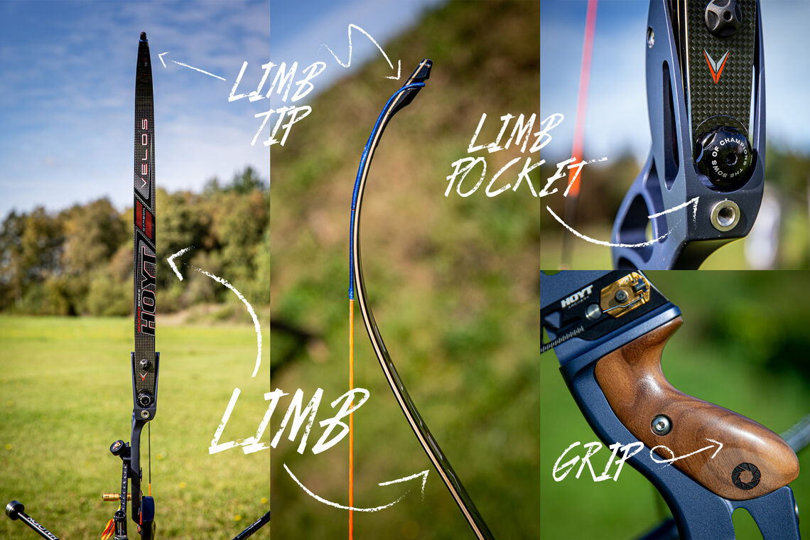 Annotated picture of recurve limbs.