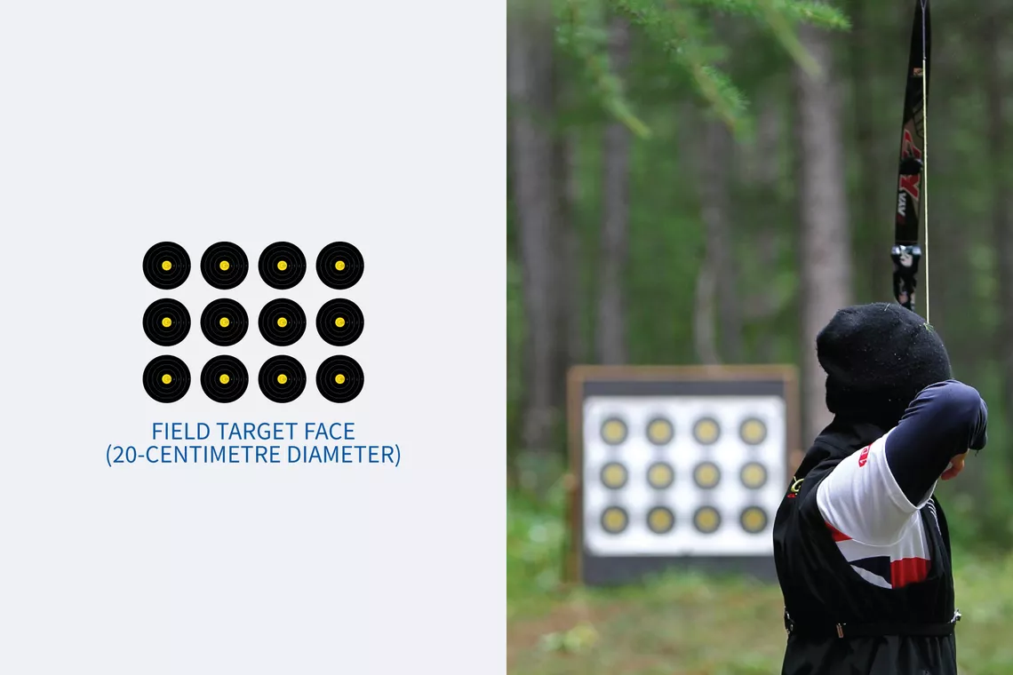 Diagram of a 20-centimetre field archery target face.