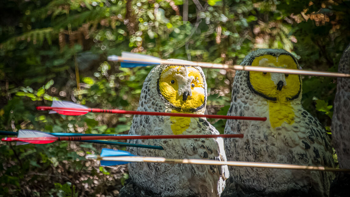 Owl target at the World Archery 3D Championships.