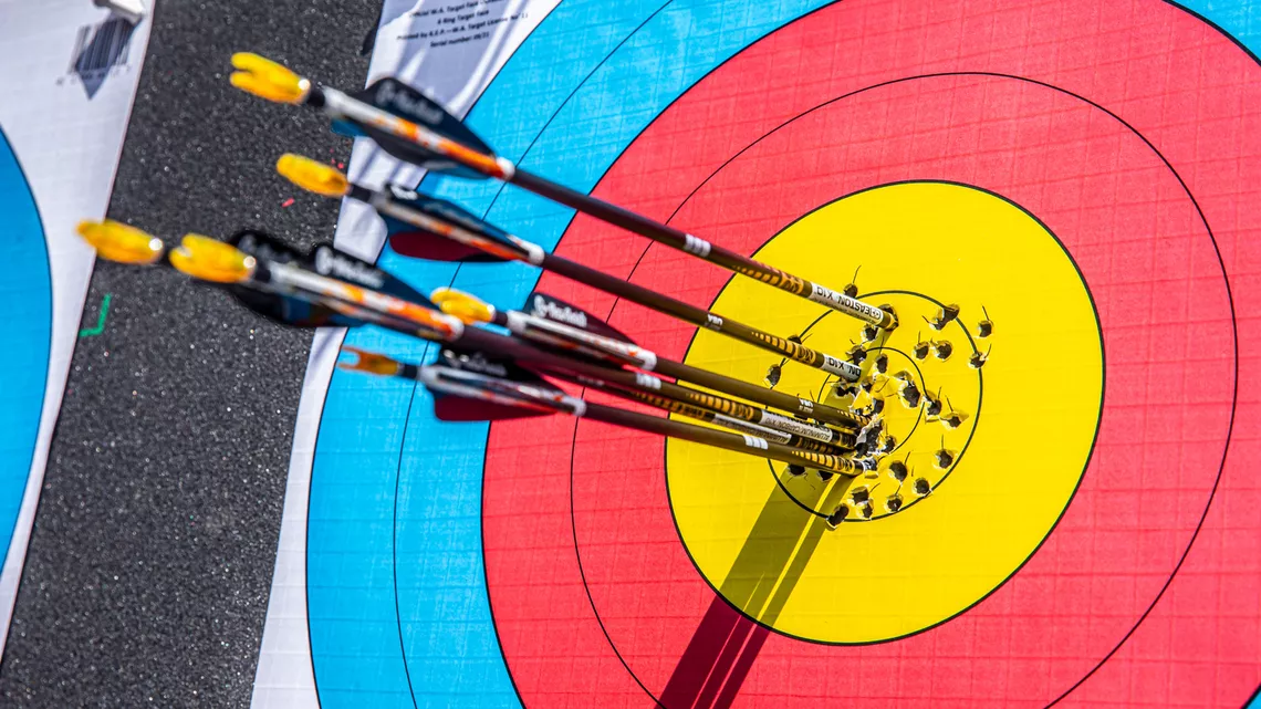Arrows on the target in 2022
