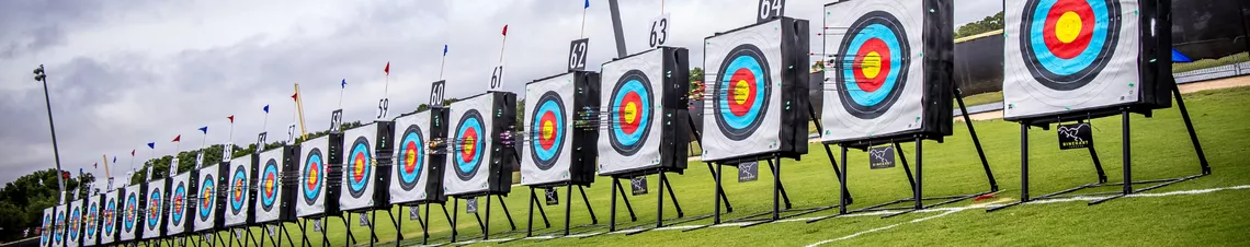 Arrows on targets.