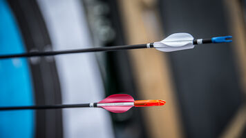 Shoot-off arrows in a target.
