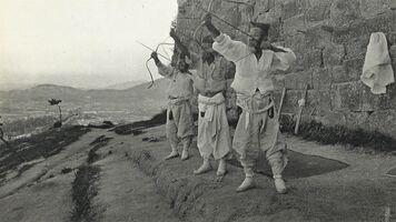 Neff Collection - off the walls