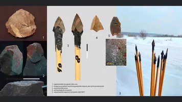 arrows
